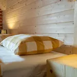Stary Mlyn Nad Strumieniem Z Mozliwoscia Dostepu Do Sauny, Goracej Beczki, Basenu - Hébergement de vacances Szklarska Poreba